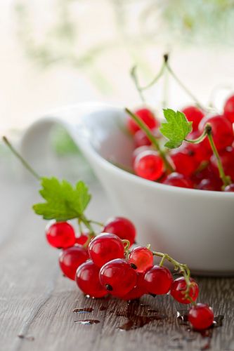 Red Currants by sarsmis Cake Pistache, Red Currants, Fresh Fruit Recipes, Fruit Photography, Red Currant, Beautiful Fruits, Exotic Fruit, Delicious Fruit, Red Fruit