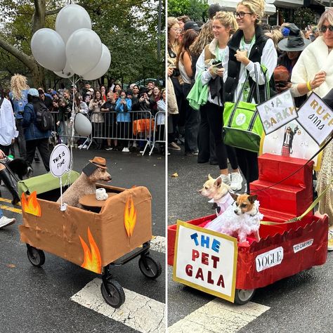 The Tompkins Square Dog Halloween Parade & Costume Contest never disappoints 🎃👻🕸️#tspdogparade #nyc #halloween #nycdogs #dogsincostumes #getjoyfood #tompkinssquarepark #nychalloween #dogsofinstagram #dogsoftompkinssquarepark #dogs #dogstagram #dog Pet Parade Ideas, Nyc Halloween, Best Dog Costumes, Dog Parade, Pet Parade, Halloween Parade, Pet Halloween Costumes, October 21, Costume Contest