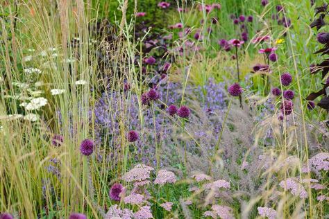 Small Wildlife Garden Ideas, Biodiversity Garden Ideas, Small Wildlife Garden, Wildlife Garden Ideas, Small Natural Garden Ideas, Natural Garden Design, Wildlife Garden Design, Scandi Garden, Small Garden Inspiration