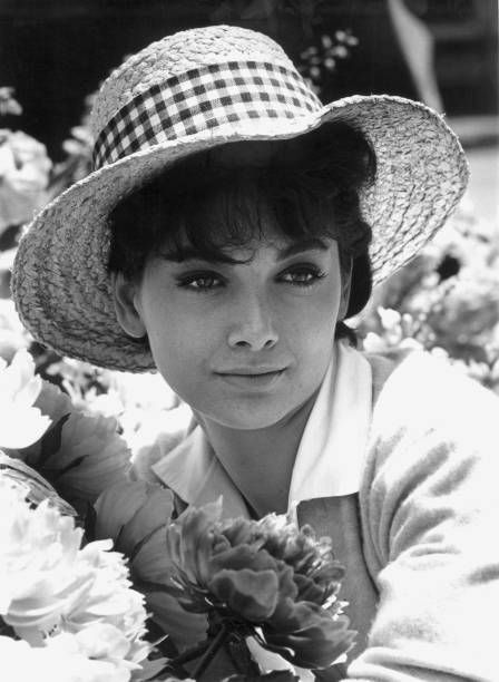 973 Suzanne Pleshette Photos & High Res Pictures - Getty Images Bob Newhart Show, Alfred Hitchcock The Birds, Suzanne Pleshette, Bob Newhart, Audrey Hepburn Photos, Holly Golightly, Truman Capote, Audrey Hepburn Style, Dramatic Classic