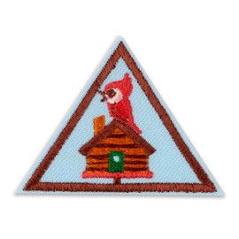 Girl Scout Brownie Badges, Cabin Camper, Brownie Badges, Scout Camp, Girl Scout Badges, Scout Badges, Math Stem, Brownie Girl Scouts, Scout Camping