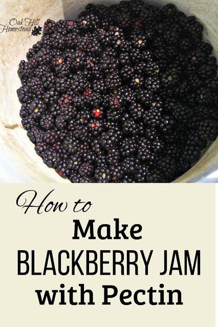 How to make blackberry jam with pectin Blackberry Jam With Pectin, Jam With Pectin, Blackberry Jelly Recipe, Blackberry Freezer Jam, Forage Recipes, Make Vinegar, Seedless Blackberry Jam, Fruit Vinegar, Homemade Blackberry Jam