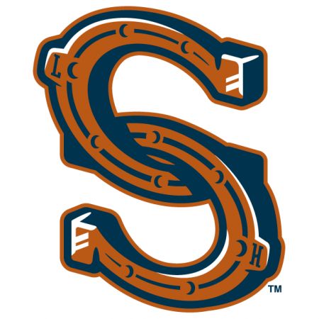 Springfield Sliders rebrand as Lucky HorseShoes – SportsLogos.Net News Equestrian Logo, Horseshoe Logo, Farm Logo, Lucky Penny, Horse Logo, Lucky Horseshoe, Abstract Logo, Baseball Team, Dark Horse