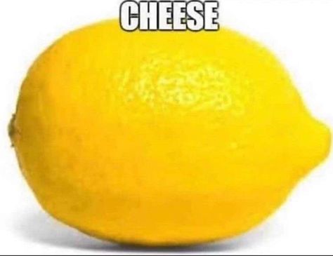 Cheese Meme, Fitness Funny, Fanart Drawing, Fun Girl, Meme Funny, Drawing Artist, Funny Comedy, Oui Oui, What’s Going On