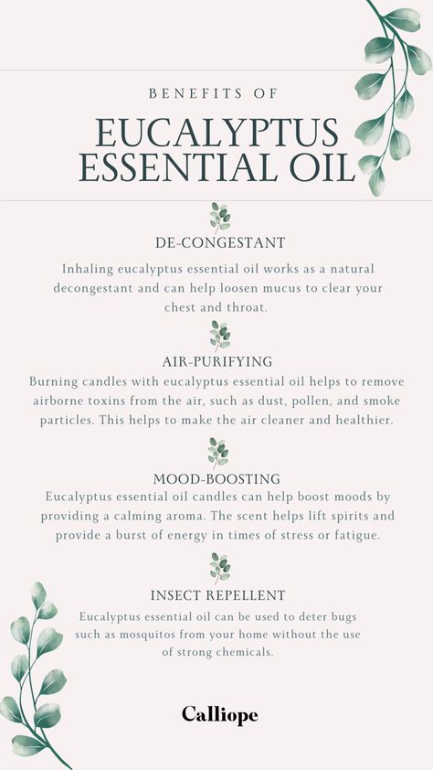 Eucalyptus Benefits, Eucalyptus Oil Benefits, Beauty Hacks That Actually Work, Natural Decongestant, Smudge Spray, Oil Body Wash, Essential Oils Guide, Essential Oils Health, Eucalyptus Oil