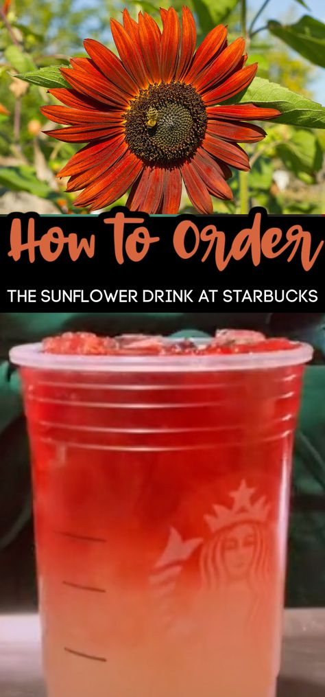 Sunflower Drink Ideas, Sunflower Drink, Sunflower Tea, Passion Tea, Starbucks Secret Menu Drinks, Staff Party, Starbucks Secret, Starbucks Barista, Summer Menu