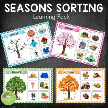 Season Activities, 4 Seasons Sensory Bin, The Seasons, Seasons Montessori Activities, Seasons Sorting Activity Free Printable, 4 Seasons Activity Kindergarten, Four Seasons For Kindergarten, Animal Habitat Sorting Free Printable, Winter Season Food