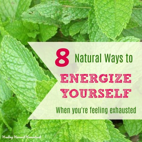 8 Natural Ways to Transform Tiredness Into Energy! (How to Stop Feeling SO Tired!) Tiredness Remedies, Energy Remedies, Fatigue Remedies, Extreme Tiredness, Mindful Activities, Nature Healing, Life Activities, Herbal Salves, Grow Food