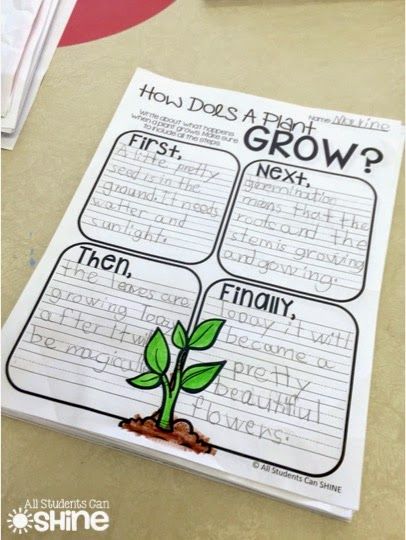 Plant Lessons, Grade 3 Science, Second Grade Science, Plants Unit, Plant Activities, Procedural Writing, 1st Grade Science, Nutrition Quotes, First Grade Science