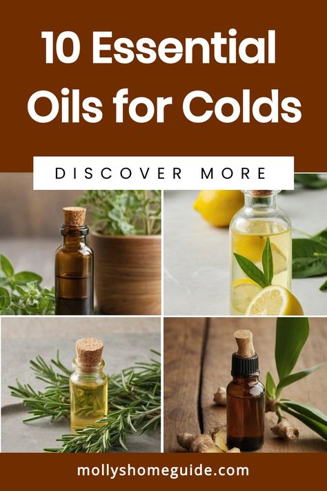 Discover the power of essential oils for colds and congestion with our selection of blends to support your respiratory health. From immunity booster formulations to homemade vapor rub recipes, elevate your wellness routine with the best essential oils for colds and flu. Breathe easy and stay healthy this season with top essential oils to boost your immune system. Try our diffuser blends for colds and flu to promote a sense of well-being all year round. Essential Oil Recipes Diffuser Chest Congestion, Essential Oils For Chest Cold, Oregano Essential Oil Diffuser Blends, Medicinal Essential Oil Blends, Doterra Cold Remedy, Diffuser Blends For Colds, Homemade Vapor Rub, Oils For Colds, Chest Cold