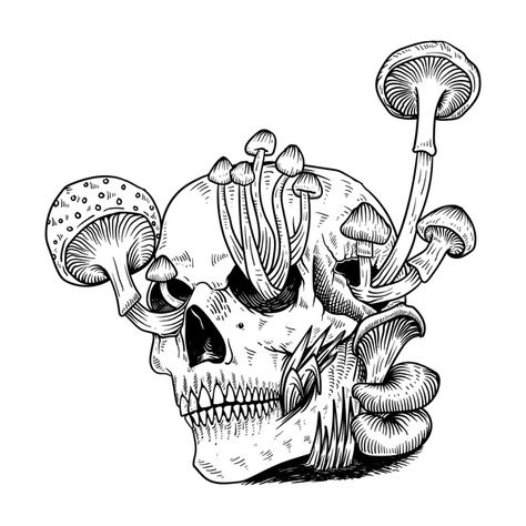 Mushrooms Sketch, Skull Mushrooms, Skull Mushroom, Vector Tattoo, Skull Sketch, Mushroom Tattoos, Mushroom Drawing, Skulls Drawing, Sketch Tattoo