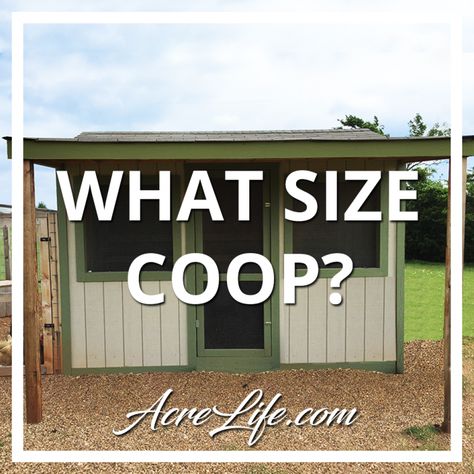 What Size Chicken Coop Do I Need? Easy to Follow Checklist - Acre Life Diy Chicken Coop 6 Chickens, Chicken Coop Plans For 40 Chickens, Chicken Coop Plans With Storage, Chicken Coop For 6 Hens Diy, Shed Style Chicken Coop, Free Diy Chicken Coop Plans Easy, Chicken Coop Off Ground, Simple Walk In Chicken Coop, Chicken Coop For 100 Chickens