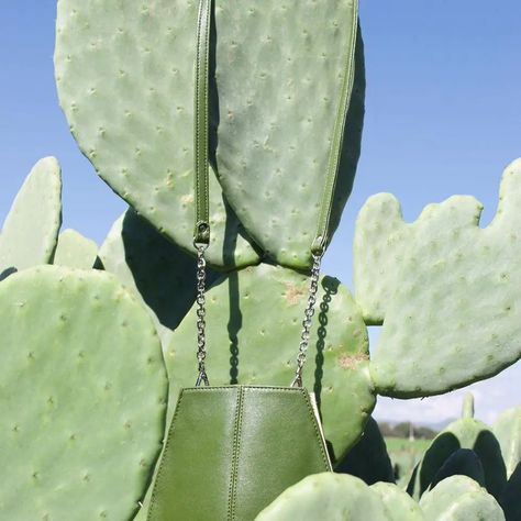 Desserto's Cactus Leather Is the Latest Eco-Friendly Fabric Cactus Leaves, Leather Industry, Sustainable Leather, Sustainable Business, Like Animals, Eco Friendly Fabric, Classic Leather, Leather Items, Leather Fabric