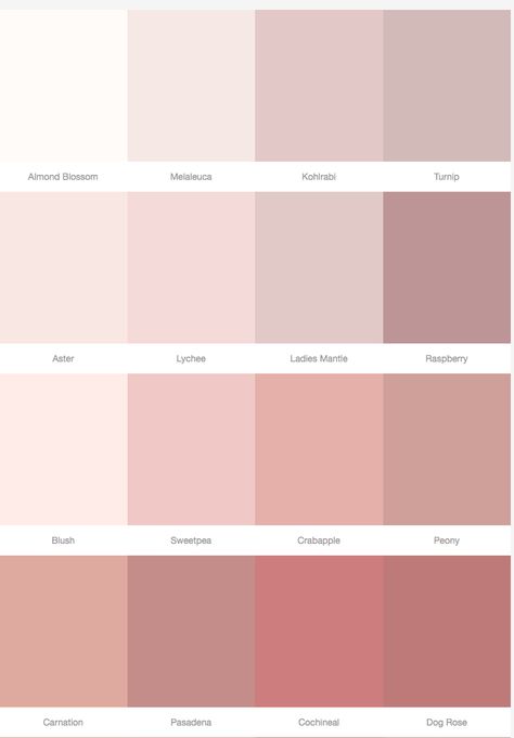 Pastel Girls Room, Wallpaper Rose, Pastel Girl, Pastel Room, Bedroom Paint Colors, Rose Pastel, Color Palette Design, Girl Bedroom Decor, Pink Room