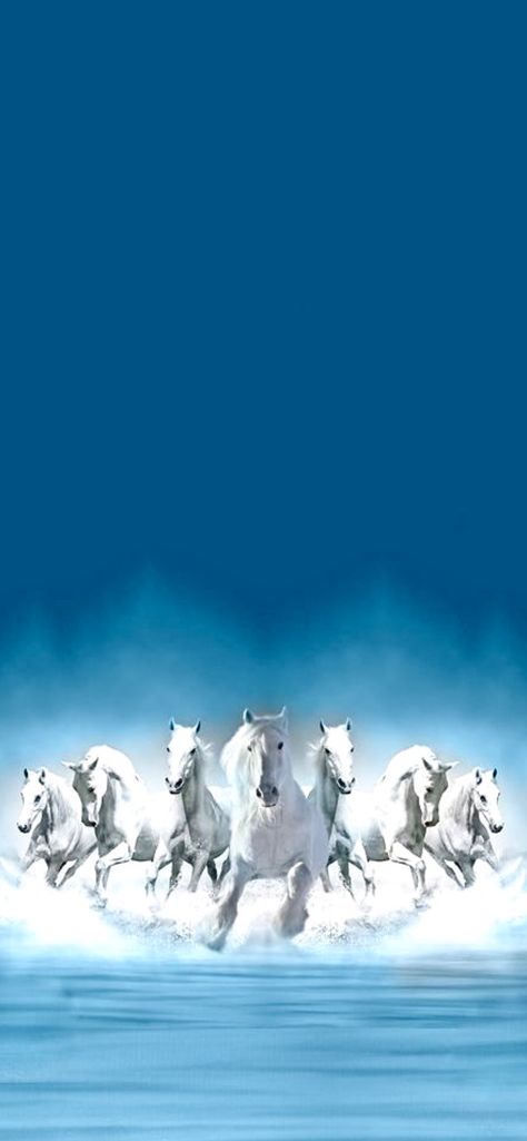 Seven White Horses Running Wallpaper, 7 Horses Wallpaper Iphone, Seven Horses Painting Wallpaper, 7 Running Horses Wallpaper Iphone, White Horse Wallpaper Hd, 7 White Horses Running Wallpaper Hd, Lucky 7 Horse Wallpaper, Vastu Horse Images, Pictures Of Horses Running