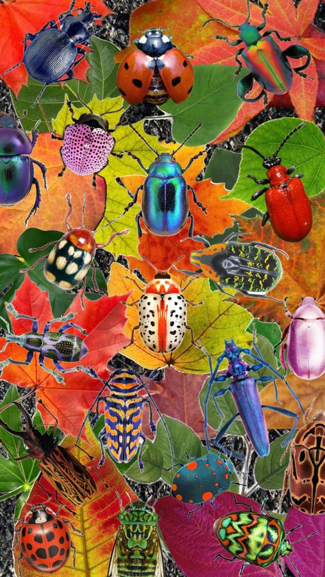 Creepy crawlers #bugs #bees #flies #insects #leaves #earth #nature #dirt #colorful #wings #eyes #creepy #small #legs #poison Eyes Creepy, Colorful Wings, Creepy Crawlers, Earth Nature, Bugs, Insects, Bee, Color, Nature