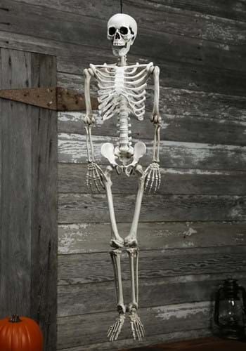 Chest Skeleton, Realistic Skeleton, Hanging Skeleton, Halloween Foods, Mermaid Skeleton, Halloween Skeleton Decorations, Plastic Skeleton, Halloween Graveyard, Halloween Scarecrow