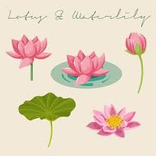 16,912 Water Lily Leaf Illustrations & Clip Art - iStock Lotus In Water Drawing, Nelumbo Nucifera Illustration, Lotus Flower Vector Illustrations, Water Lilly Illustration, Lotus Illustration Art, Water Flowers Drawing, Lotus Pond Illustration, Lotus Illustration Design, How To Draw Lotus Flower