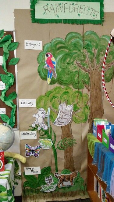 My class rainforest  mural. Shows the 4 layers and examples of animals found in each layer. 4 Layers Of The Rainforest, Rainforest Display Board, Layers Of The Forest Activity, Biome Project Ideas Rainforest, Layers Of Rainforest Craft, Rainforest Layers Project, Rainforest Layers Craft, Layers Of The Rainforest Activities, Amazon Rainforest Crafts For Kids