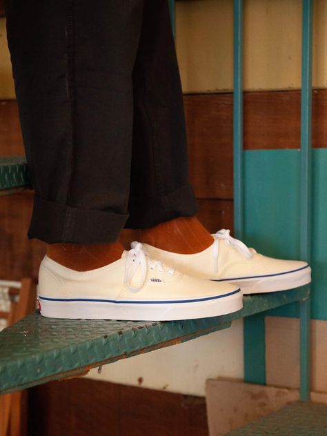 Vans Authentic - White – Mollusk Surf Shop