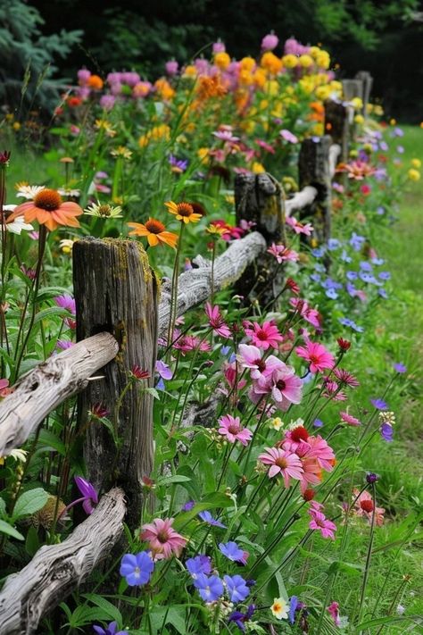 Balcony Garden Ideas, Balcony Gardens, Garden Answer, Flower Bed Designs, Garden Display, Flower Bed Ideas, Green Oasis, Cottage Garden Design, Garden Yard Ideas