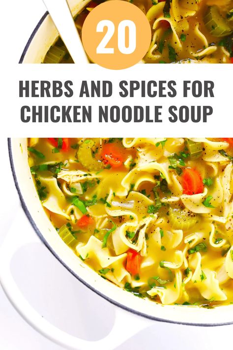 20 Best Herbs and Spices for Chicken Noodle Soup Chicken Soup Spices, Spices For Chicken Soup, Chicken Noodle Soup Spices, Seasoning For Chicken Noodle Soup, Chicken Noodle Soup Seasoning, Healing Chicken Noodle Soup, Spices For Chicken, Best Chicken Noodle Soup Recipe, Chicken Soup Seasoning