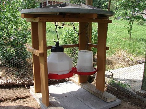 Chicken feeding stations | Chicken Feed and Water station Chicken Feed Recipe, Farming Aesthetic, Old Porch, Cute Chicken Coops, Chicken Pen, Chicken Feeders, Urban Chickens, Chicken Life, Water Station