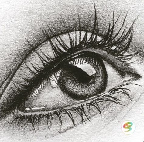 Eyeball Drawing Realistic, Intermediate Drawing Ideas, Real Eyes Drawing, Realism Eye Drawing, Real Eye Drawing, Detailed Eye Drawing, Eye Realistic Drawing, Hyper Realistic Eye Drawing, Eye Sketch Realistic