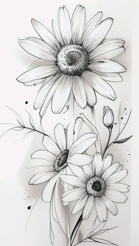 Drawings Of Daisies, Daisy Pencil Drawing, Daisy Art Drawing, Flower Line Drawing Pattern, Pencil Art Drawings Flowers, Tattoo Pencil Drawings, Black And White Daisy Tattoo, Simple Daisy Drawing, Flower Tattoos Black And White