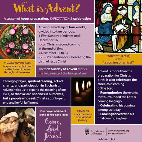 What is advent What Is Advent, Advent Catholic, Christmas Infographic, Come Lord Jesus, Advent Prayers, Origin Of Christmas, First Sunday Of Advent, Christmas Advent Wreath, Advent Activities