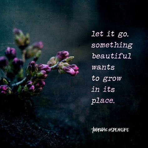 Let it go. Something beautiful wants to grow in its place. Tobymac Speak Life, Toby Mac, Imam Ali Quotes, I Love My Daughter, Joy Of The Lord, Speak Life, Quotes Inspirational Positive, Ali Quotes, Motivational Thoughts