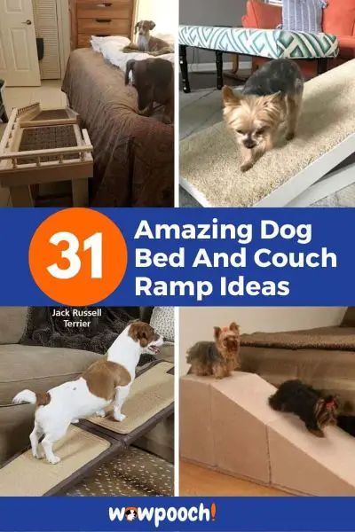 Dog Ramp Diy, Ramp Ideas, Dog Stairs For Bed, Dog Steps For Bed, Dog Ramp For Bed, Dog Couch Bed, Pet Ramp, Dog Stairs, Diy Dog Bed