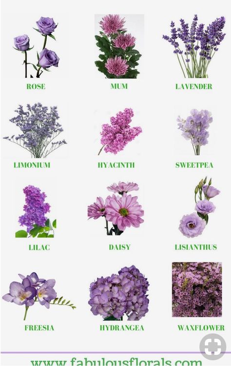 I like rose, lavender, sweetpea, daisy, lisianthus, hydrangea, and waxflower for the bouquet for centerpieces Lavender Wedding Theme, Lavender Wedding Flowers, Purple Wedding Theme, Rose Lavender, Different Types Of Flowers, Hydrangea Bouquet, Lavender Bouquet, Bridal Bouquet Flowers, Lilac Wedding