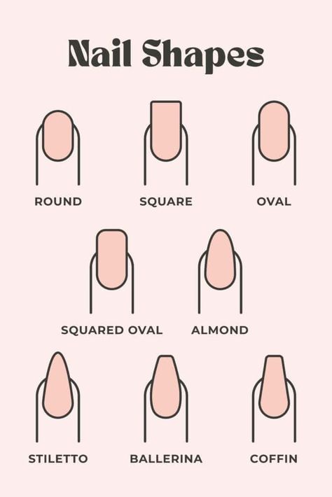 Type Of Nail Shapes, Nail Sizes Shape Chart, Nails Forme, Nail Shapes Chart, Mail Shapes, Nail Shapes For Chubby Fingers, Nail Shape Guide, Nails Form, Shape Of Nails