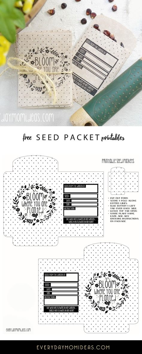 Printable Seed Packets, Diy Seed Packets, Seed Packet Template, Free Teacher Appreciation Printables, Garden Seeds Packets, Seed Envelopes, Flower Seeds Packets, Bloom Where You Are Planted, Seed Saving