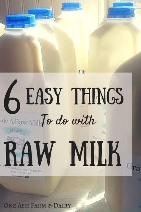 6 {Easy} Things To Do With Raw Milk - One Ash Homestead Goat Milk Recipes, Nourishing Traditions, Making Butter, Cheese Pairings, Milk And Cheese, Homemade Yogurt, Homemade Butter, Homemade Cheese, Dairy Cows