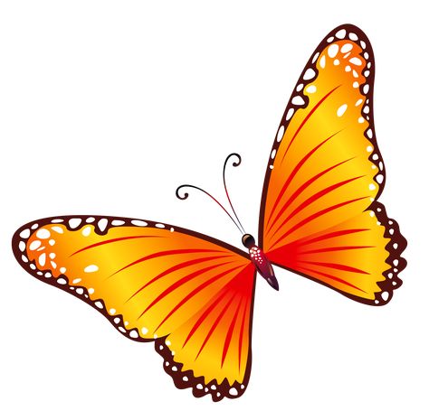 Butterfly Images Clip Art, Orange And Black Butterfly, Butterfly Gif, Butterfly Clipart, Cartoon Butterfly, Butterfly Background, Free Clipart Images, Art Butterfly, Butterfly Images