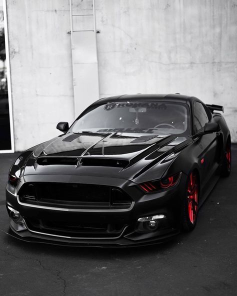 Mustang black with red rims Siyah Mustang, Red Mustang, Black Mustang, 1967 Mustang, Best Car Insurance, Ford Mustang Car, Mustang Cars, Holy Cow, Nissan Gt-r