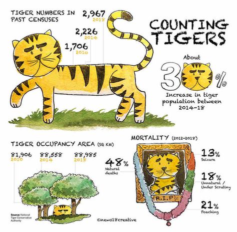 Quotes Angry, Project Tiger, Tiger Quotes, Tiger Day, Tiger Roar, Tiger Conservation, Angry Quote, Angry Tiger, Cute Cat Names