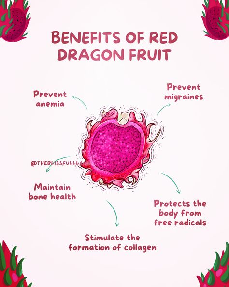 Food and drinks: recipes, cooking, baking, desserts, healthy eating, drinks, snacks, cleaneating, lifestyle, motivation, self-care, help Dragonfruit Benefits, Dragon Fruit Tea Recipe, Dragon Fruit Health Benefits, Fruit Tea Recipes, Dragon Fruit Benefits, Pitaya Fruit, Broccoli Benefits, Red Dragon Fruit, Benefits Of