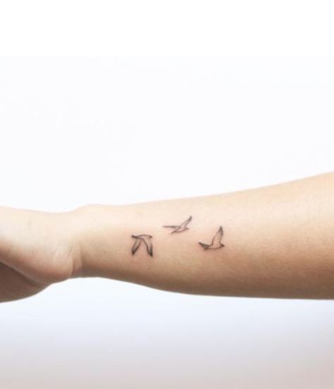 3 Sparrow Tattoo, Bird Sibling Tattoo, Simple Bird Tattoos For Women, 4 Small Birds Tattoo, Tiny Sparrow Tattoos For Women, Three Birds Tattoo Simple, Sibling Bird Tattoos For 3, Sister Bird Tattoo Ideas, 3 Birds Tattoo