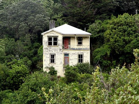 Old house, Mitchelltown, Wellington, New Zealand. Abandoned Structures, Historical Houses, Lovely Landscapes, Wellington New Zealand, Abandoned House, Architecture Model Making, Hauntingly Beautiful, House Portraits, Abandoned Buildings