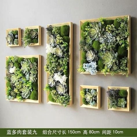 Plants Bouquet, Kaktus Dan Sukulen, Indoor Plant Wall, Tropical Greenery, Plant Wall Decor, Beautiful Shapes, Hanging Plant Wall, Succulent Wall, Artificial Succulents