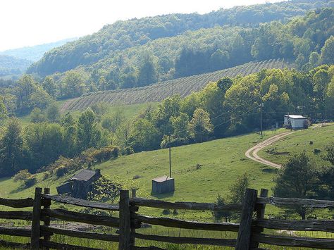 Floyd County, VA.   Home to Joseph David Cox Floyd County, I Want To Live, Rolling Hills, West Virginia, Small Towns, Virginia, I Want, Places To Visit, My Favorite