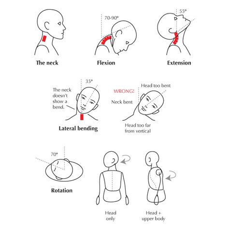 The neck, and its flexibility limitations. Shoulder Range Of Motion, Physical Therapy Assistant, Yoga Anatomy, Trigger Point Therapy, Neck Exercises, Human Body Anatomy, Medical School Studying, Muscle Anatomy, Human Anatomy And Physiology