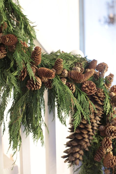 Pinecone & Cedar Christmas Garland - French Country Cottage Woodland Christmas Decor, Christmas Decor Trends, Pinecone Garland, Christmas Staircase, Natural Christmas Decor, Cottage Christmas, Christmas Tree Garland, Tree Garland, Natural Christmas