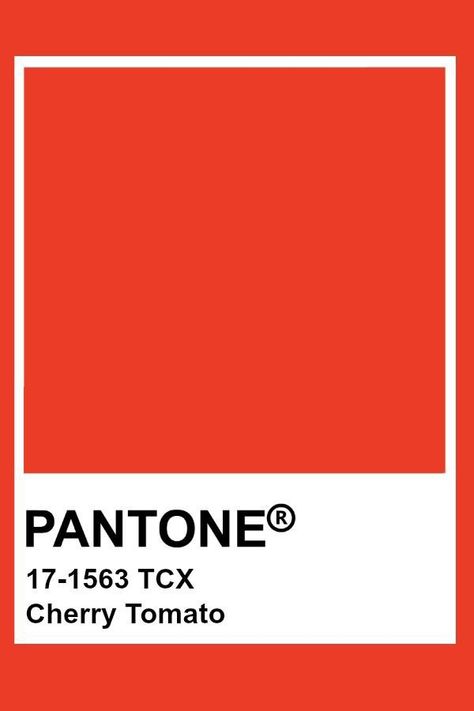 Pantone Cherry Tomato, Tomato Red Pantone, Tomato Red Color Palette, Orange Pantone Colour Palettes, Spring Summer 2023 Trends, Summer 2023 Trends, Red Pantone, Pantone Orange, Pantone 2024