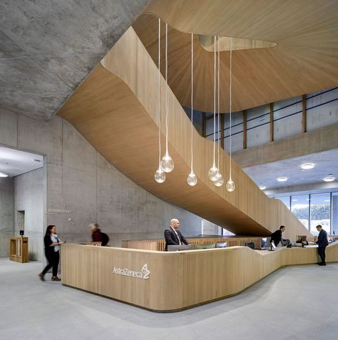 Wooden Facade, Lobby Reception, Pharmaceutical Company, Cambridge Uk, High Building, Geothermal Energy, Gallery Space, Basel Switzerland, Concrete Building