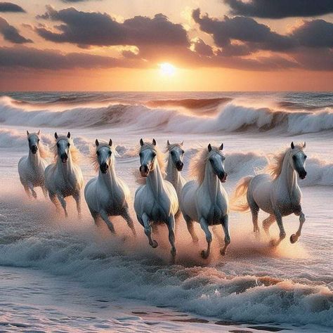 7 Horse Running Wallpaper, 7horses Wallpaper, 7 Horses Running Painting Vastu Hd, 7 Running Horses Wallpaper Hd, Seven Horses Painting Vastu, 7 Horses Running Painting Vastu, Running Horse Wallpaper For Phone, Indian Money Wallpaper Aesthetic, 7 Horses Running Painting Vastu Wallpaper