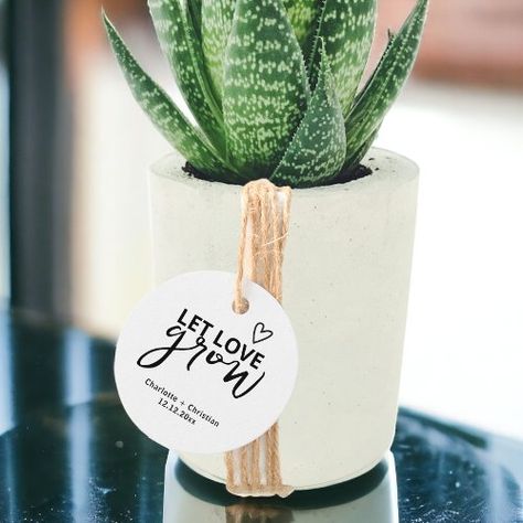 Let Love Grow This Modern Simple Minimalist Wedding tag from #Ricaso is designed with a bold text - perfect for wedding favors, gifts for the newly weds. Perfect for a simple wedding ceremony that is filled with love https://www.zazzle.com/let_love_grow_minimalist_wedding_favor_tags-256270754887448369 #favortags #gifttags #letlovegrow #plant #flower #plants #flowers #giveaplant #giveaplantahome #instagramplants #love #gift #giftidea #giftideas #zazzlemade Simple Wedding Ceremony, Simple Minimalist Wedding, Let Love Grow, Wedding Tags, Bold Text, Wedding Favor Tags, Gay Wedding, Simple Wedding, Minimalist Wedding